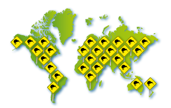 logo kiwi invasion