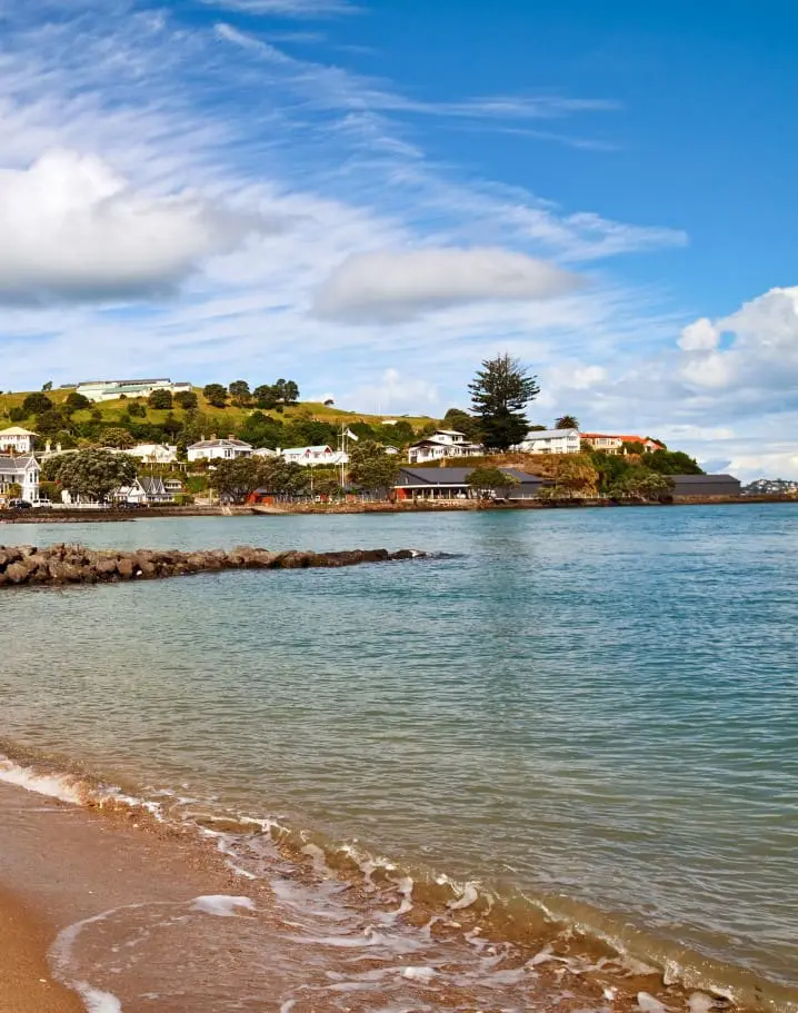 TMC Auckland