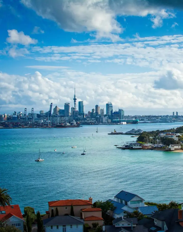 TMC Auckland2