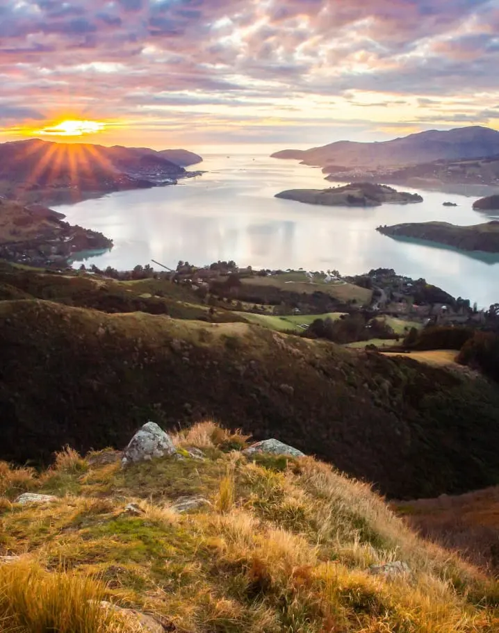 TMC Christchurch AdobeStock 295222905