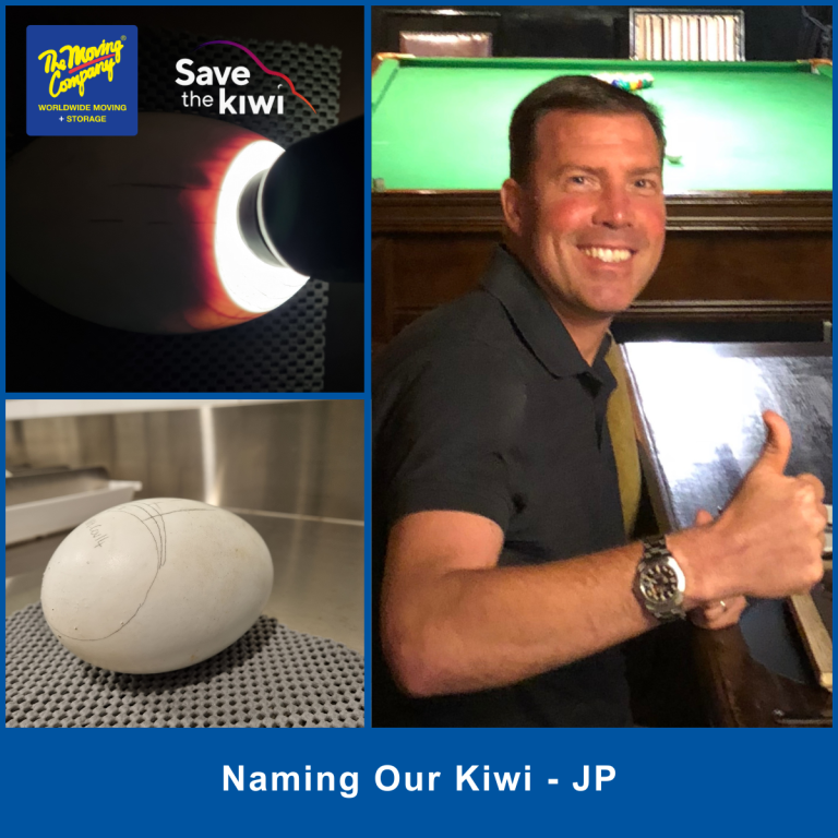 TMC Save the Kiwi JP