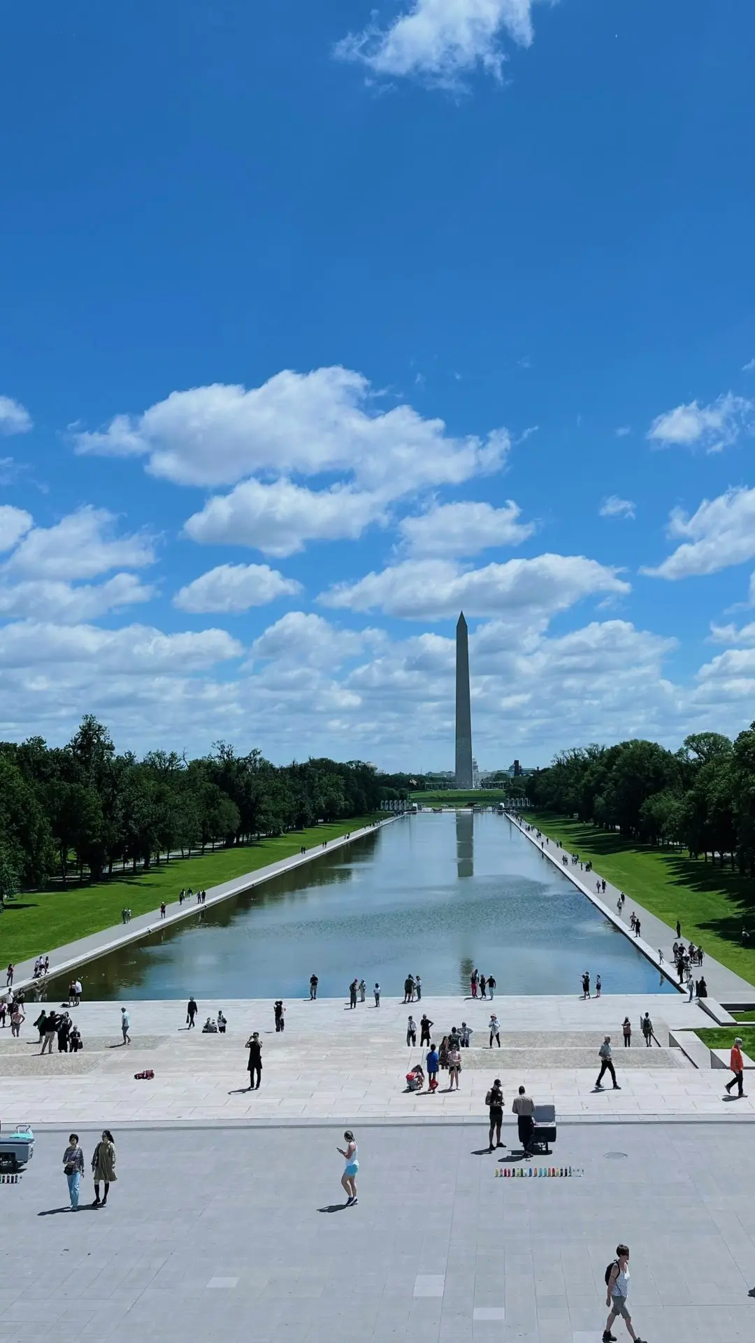 moving to Washington from nz