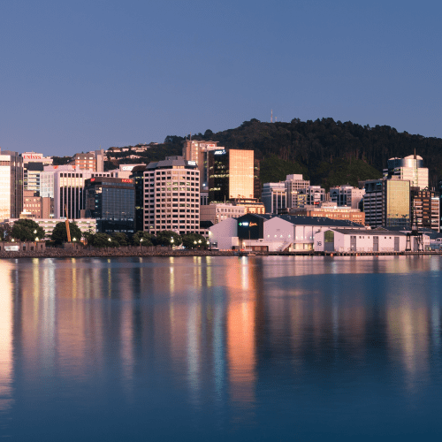 Movers Wellington The Moving Company NZ